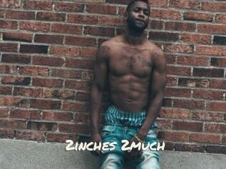 2inches_2much