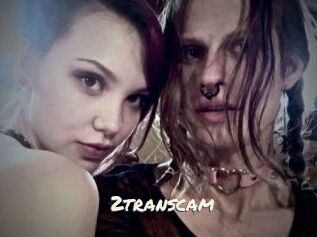 2_trans_cam