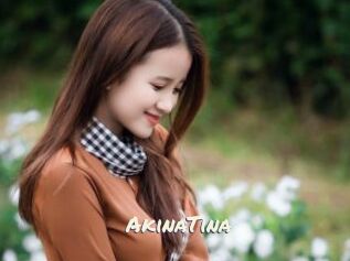 AkinaTina