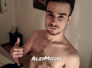 AleyModel