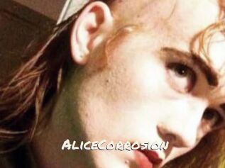 AliceCorrosion