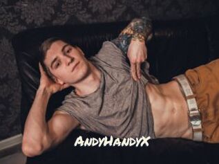 AndyHandyX
