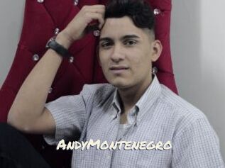 AndyMontenegro