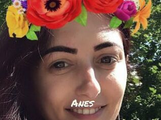 Anes