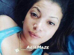 Aria_Maze