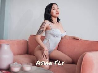Asian_Fly