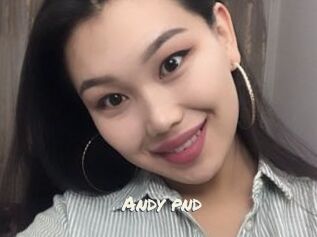 Andy_pnd