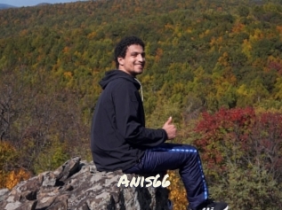 Anis66