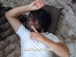 Anthonyding