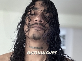 Anthonywes