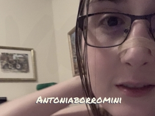Antoniaborromini