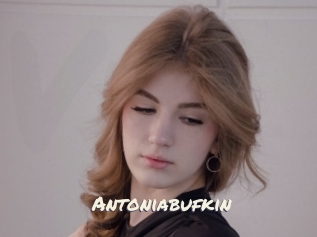 Antoniabufkin