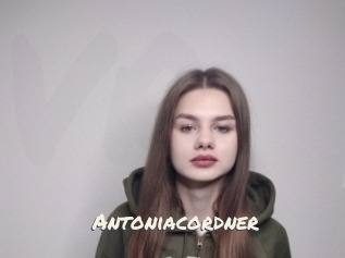 Antoniacordner