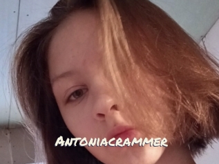 Antoniacrammer