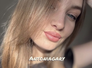 Antoniagary