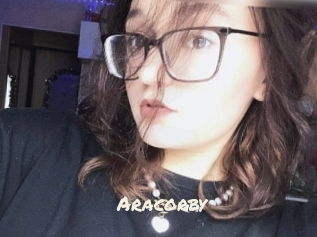 Aracorby