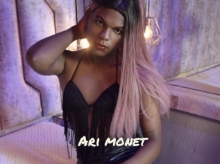 Ari_monet
