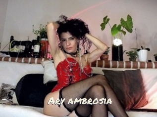 Ary_ambrosia