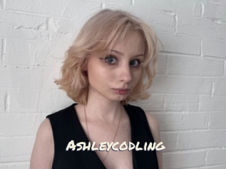 Ashleycodling