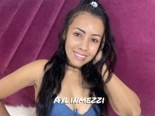 Aylinmezzi