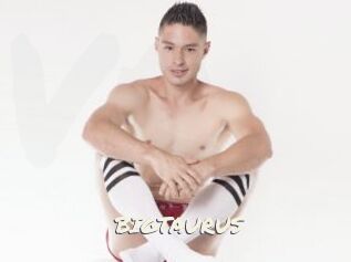 BIGTAURUS