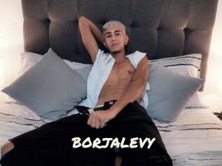 BORJALEVY
