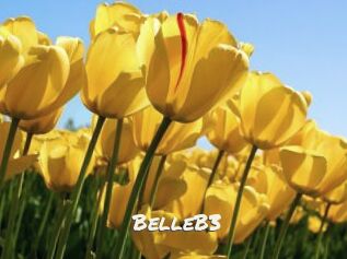 BelleB3