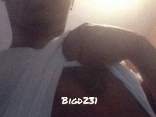 Bigd231