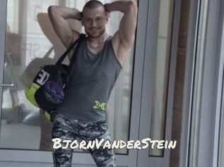 BjornVanderStein