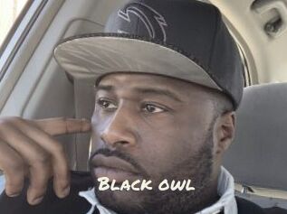 Black_owl