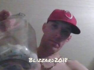 Blizzard2018