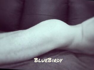 BlueBirdy