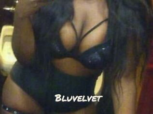 Bluvelvet