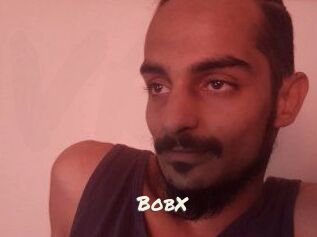 BobX