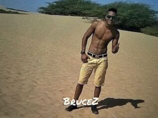 BruceZ