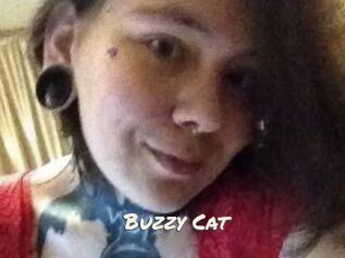 Buzzy_Cat