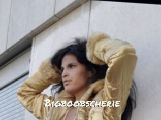 Bigboobscherie