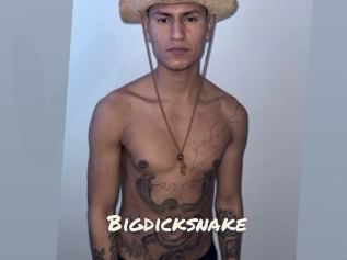 bigdicksnake Vierges
