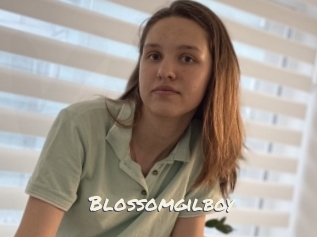 Blossomgilboy