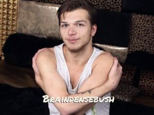 Braindensebush
