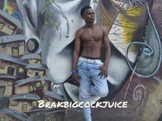 Brakbigcockjuice