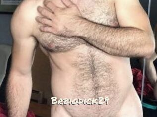 Brbigdick29