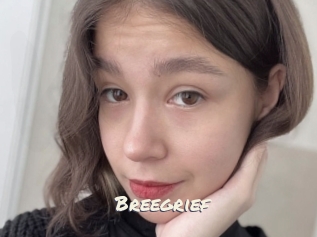 Breegrief