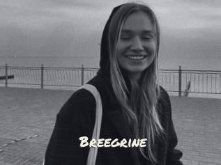 Breegrine