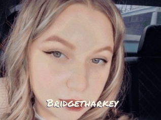 Bridgetharkey