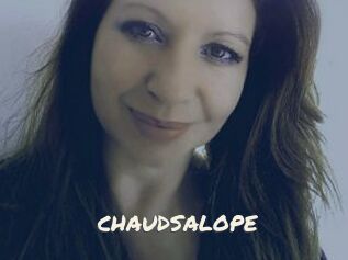 CHAUDSALOPE