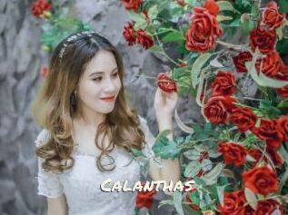 Calanthas