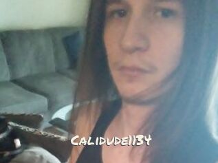 Calidude1134