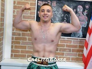 CarlitoBoxer