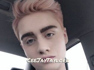 CeeJayTaylorr